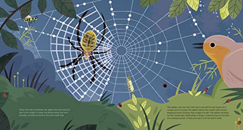 The Secret Life of Bugs