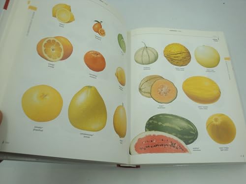 Le visuel compact : Dictionnaire bilingue français et anglais