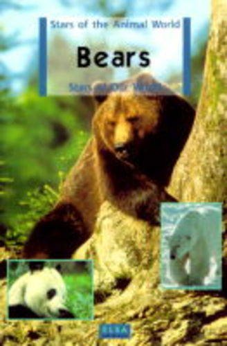 The Bear, The