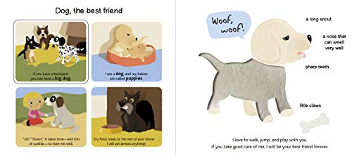 Touch and Explore: Pets