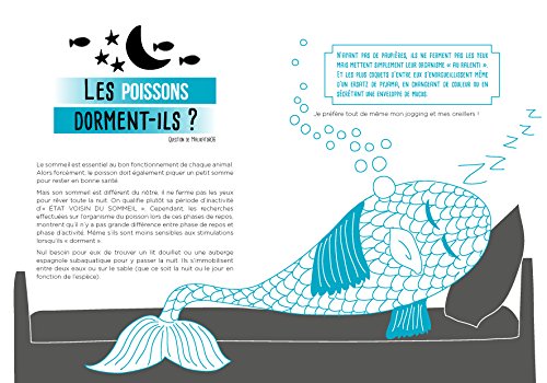 Les Questions Cons