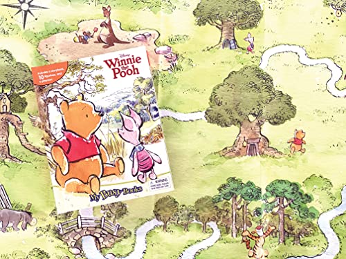 Disney Winnie the Pooh