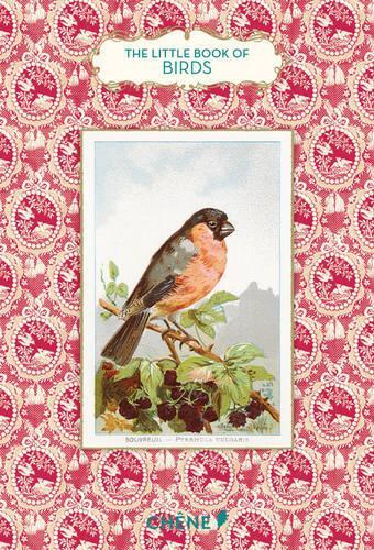 Little Book of Birds