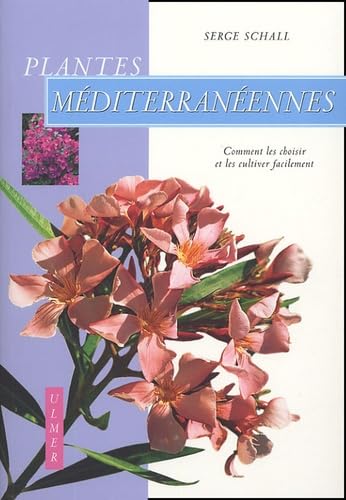 Plantes méditerranéennes: Comment les choisir et les cultiver facilement
