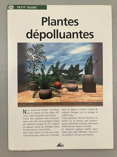 Plantes dépolluantes