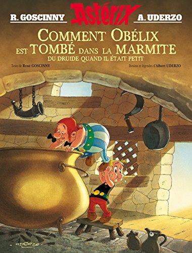Comment Obelix est tombe dans la marmite du druide...