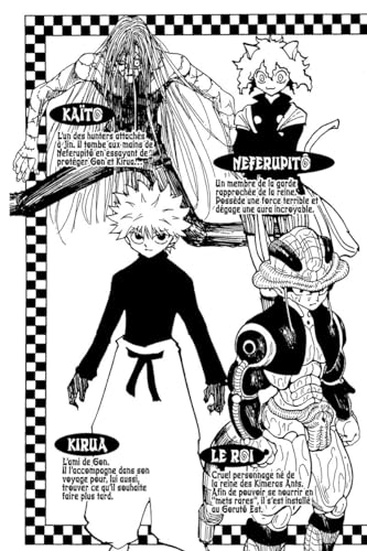 Hunter X Hunter - Tome 22