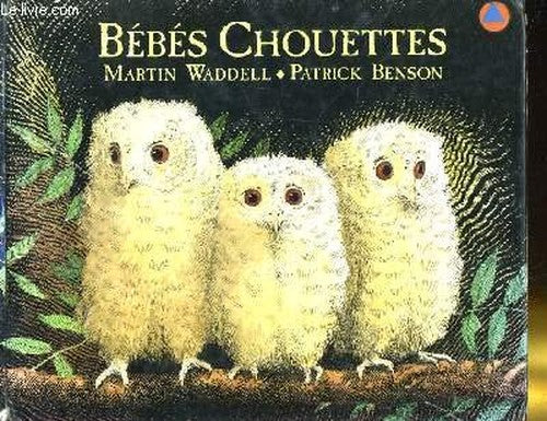 Bebes chouettes