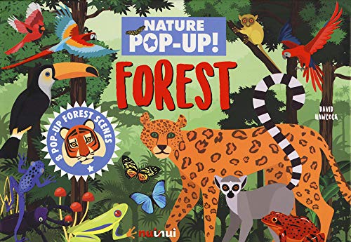 Nature's Pop-Up: Forests