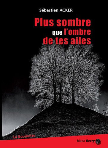 Plus sombre que l'ombre de tes ailes