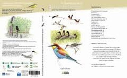 An illustrated guide to birds of the Camargue and