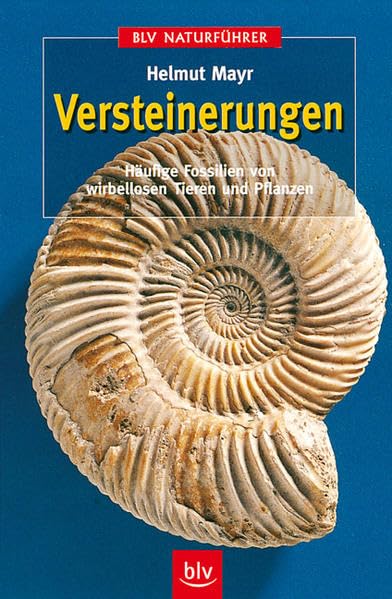 Versteinerungen.