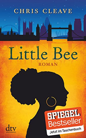 Little Bee: Roman
