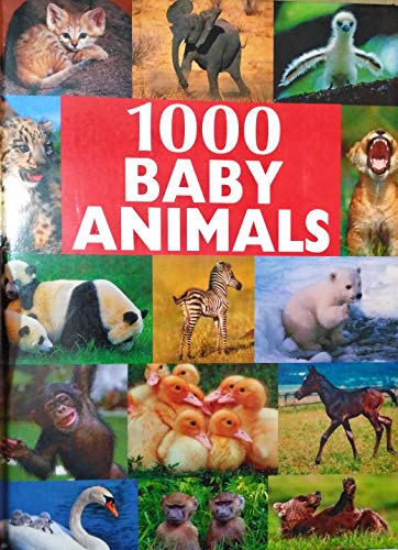 1000 Baby Animals (Bookmart)