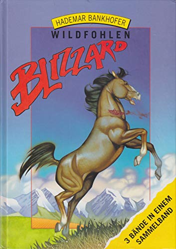 Wildfohlen Blizzard