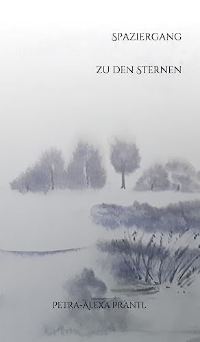 Spaziergang zu den Sternen
