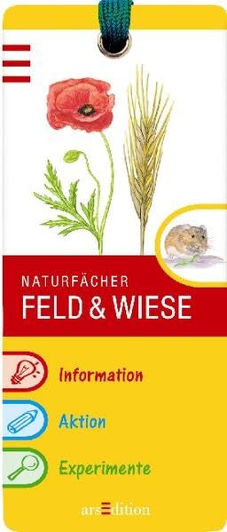 Feld und Wiese
