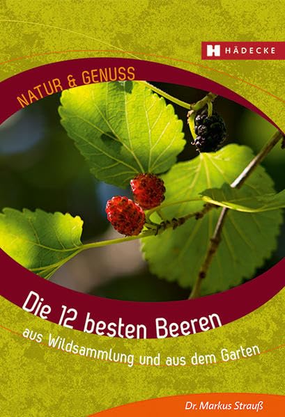 Die 12 besten Beeren: aus Wildsammlung und aus dem Garten