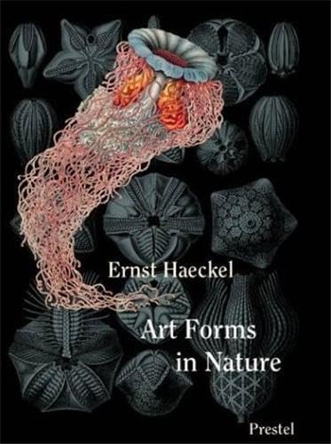 Art Forms in Nature Mini
