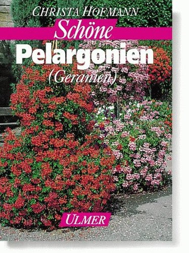Sch�ne Pelargonien ( Geranien).