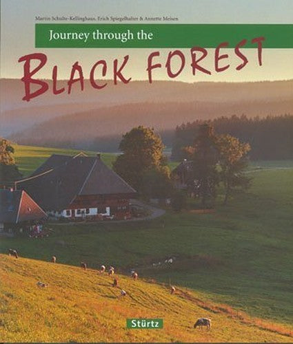 Journey Through the Black Forest