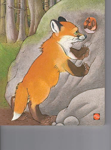 Fox Board Book