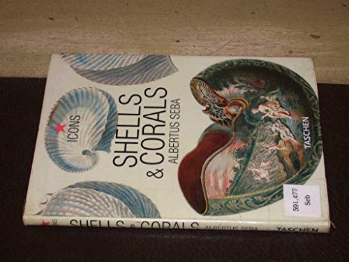 Shells and Corals