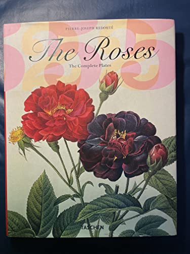 Redoute, Roses