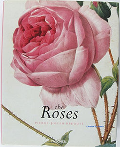 Redoute Roses 