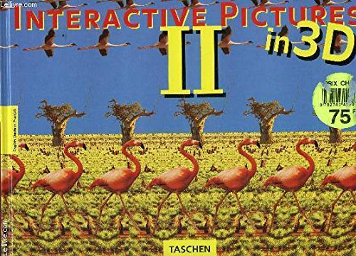 Interactive Pictures