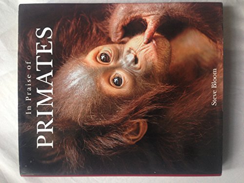 Fascinating World of Primates