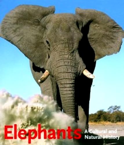 The Elephant