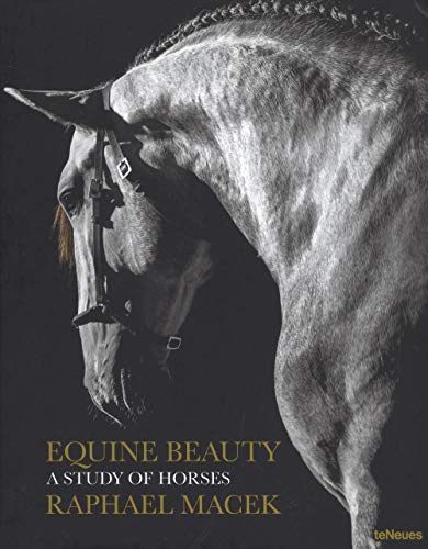 Equine Beauty