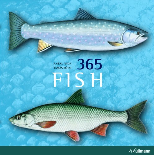 365 Fish (big)