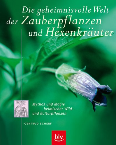 Die geheimnisvolle Welt der Zauberpflanzen und Hexenkräuter: Mythos und Magie heimischer Wild- und Kulturpflanzen. Das Buch erschließt das ... Bedeutung und Verwendung als Heilpflanze