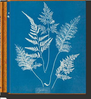 Anna Atkins