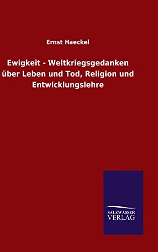 Ewigkeit - Weltkriegsgedanken über Leben und Tod, Religion und Entwicklungslehre