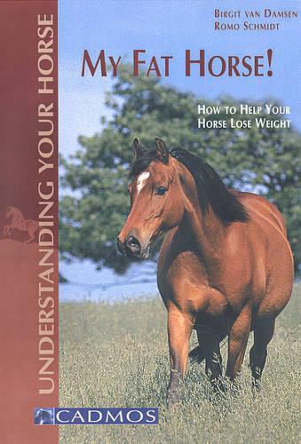 My Fat Horse!