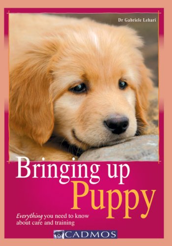 Bringing Up Puppy: Everything You Need to Know