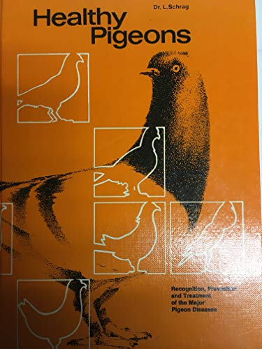 Healthy Pigeons