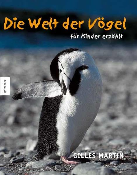 Die Welt der Vögel - für Kinder erzählt