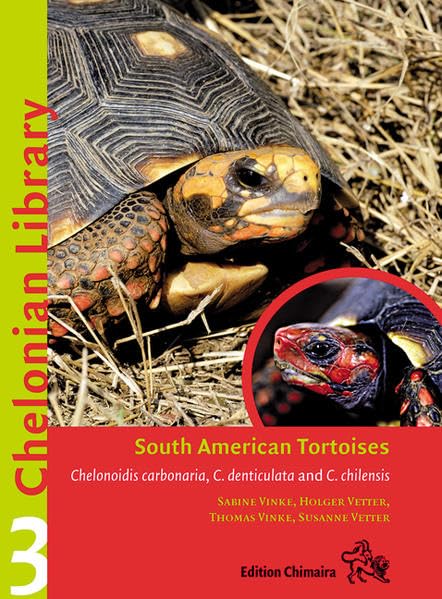 South American Tortoises Chelonoidis Carbonaria Chelonoidis Denticulata And Chelonoidis Chelensis