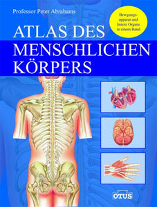 Atlas der Anatomie 