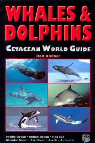 Whales and Dolphins