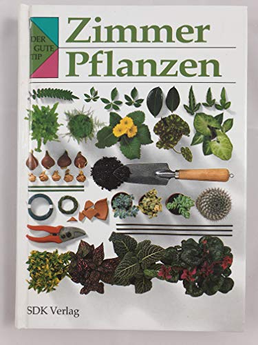 Zimmerpflanzen