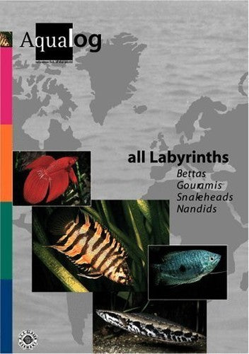 Aqualog All Labyrinths, Bettas, Gouramis, Snakeheads and Nandids