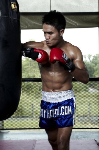 Muay Thai: Training With World Champions - Saiyok And Kem [DVD]