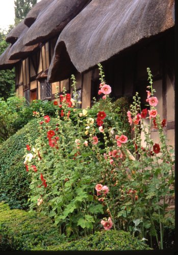 Garden Rhapsody