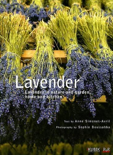 Lavender in Garden, Home and Kitchen