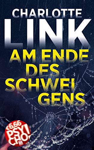 Am Ende des Schweigens: Kriminalroman